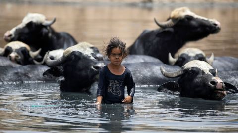 A young Iraqi shepherdess cools down buffaloes in wastewater filling the dried-up Diyala river which was a tributary of the Tigris, in the Al-Fadiliyah district east of Baghdad, on June 26. Iraq's drought reflects a decline in the level of waterways due to the lack of rain and lower flows from upstream neighboring countries Iran and Turkey. 