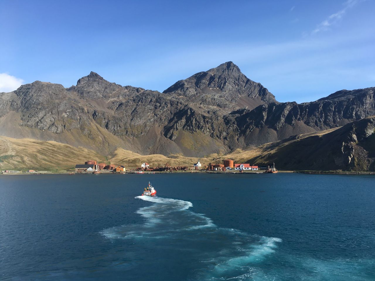 The South Georgia Museum is truly remote, only accessible by sea.