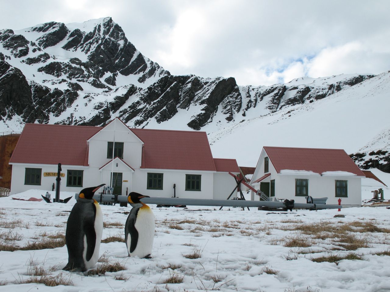 The surrounding Antarctic environment is home to about five million seals and 65 million breeding birds.
