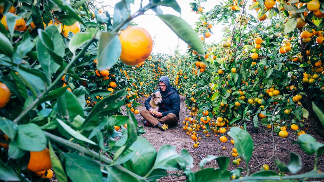 The pair in an orange field in Valencia, Spain back in 2018.