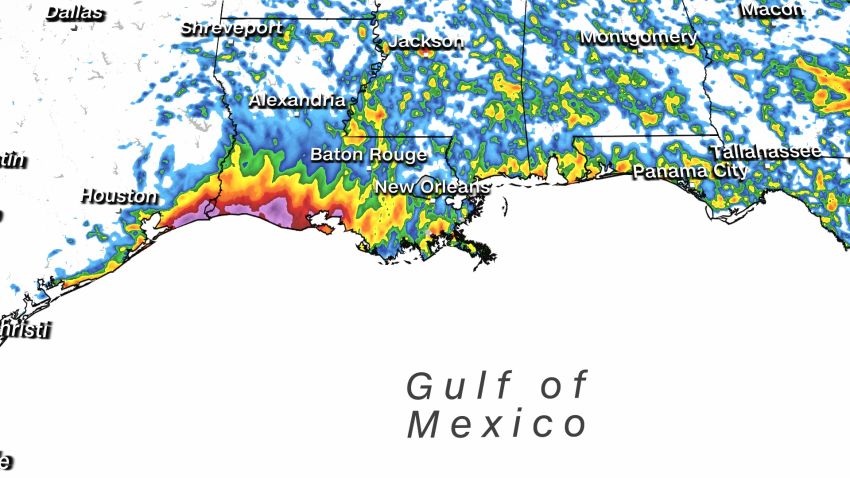 rainfall Gulf Coast