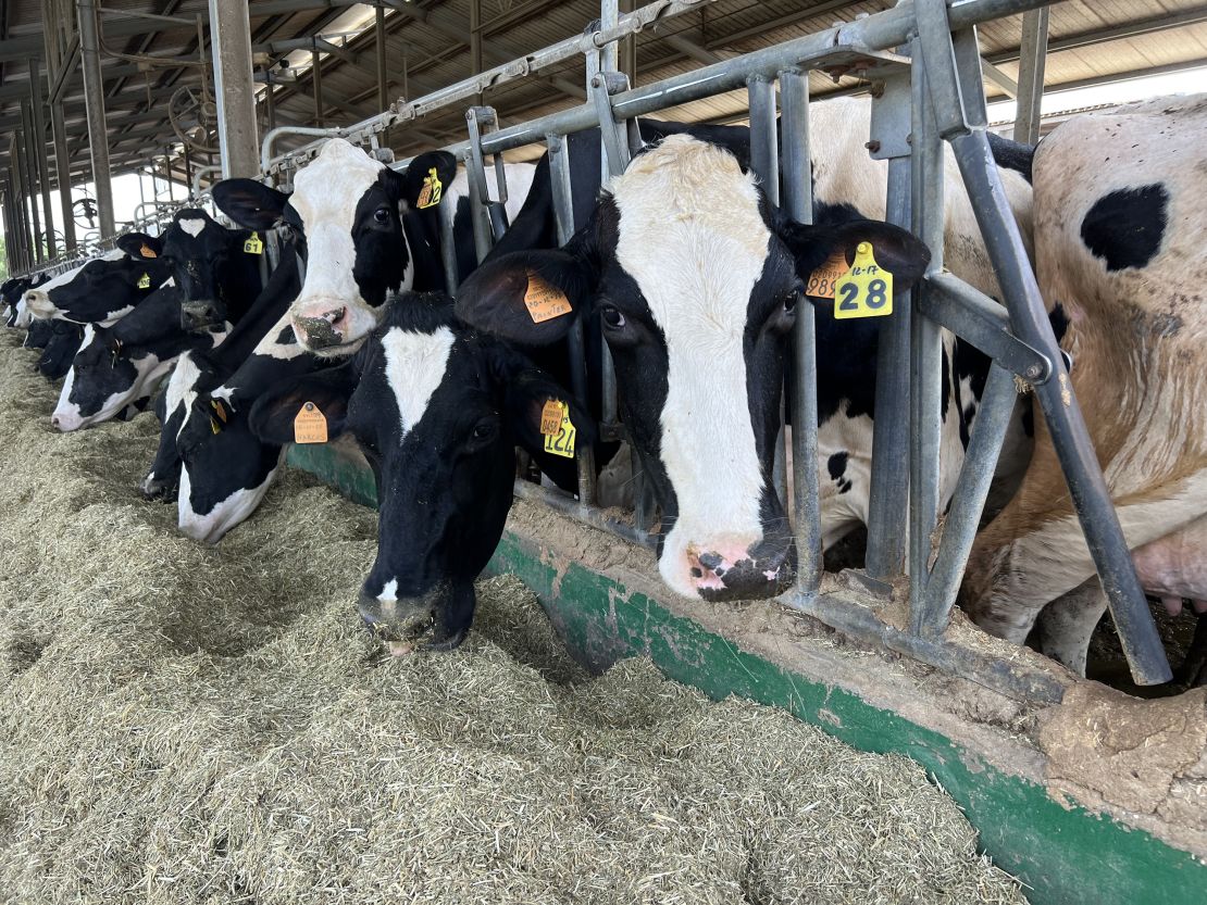 Dial in on your dry cows
