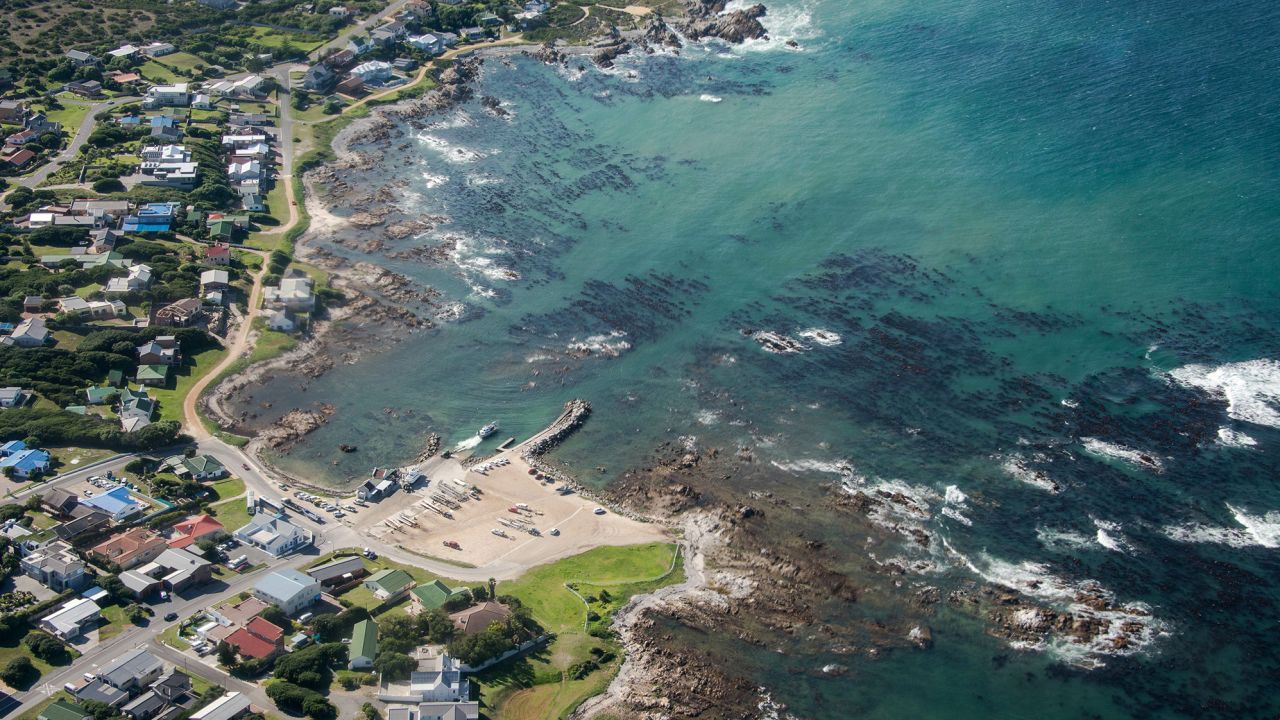 The study focused on the Gansbaai coast in South Africa.
