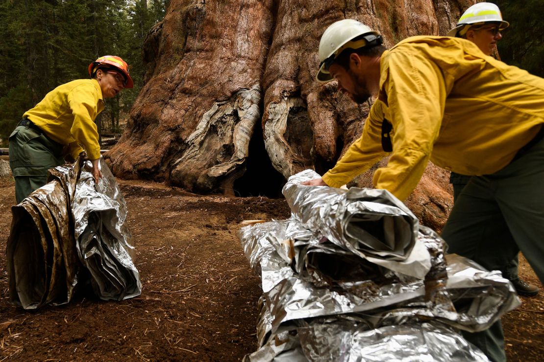 NPS personnel fold up fire resistant aluminum and fiberglass blankets as they unwrap General Sherman.