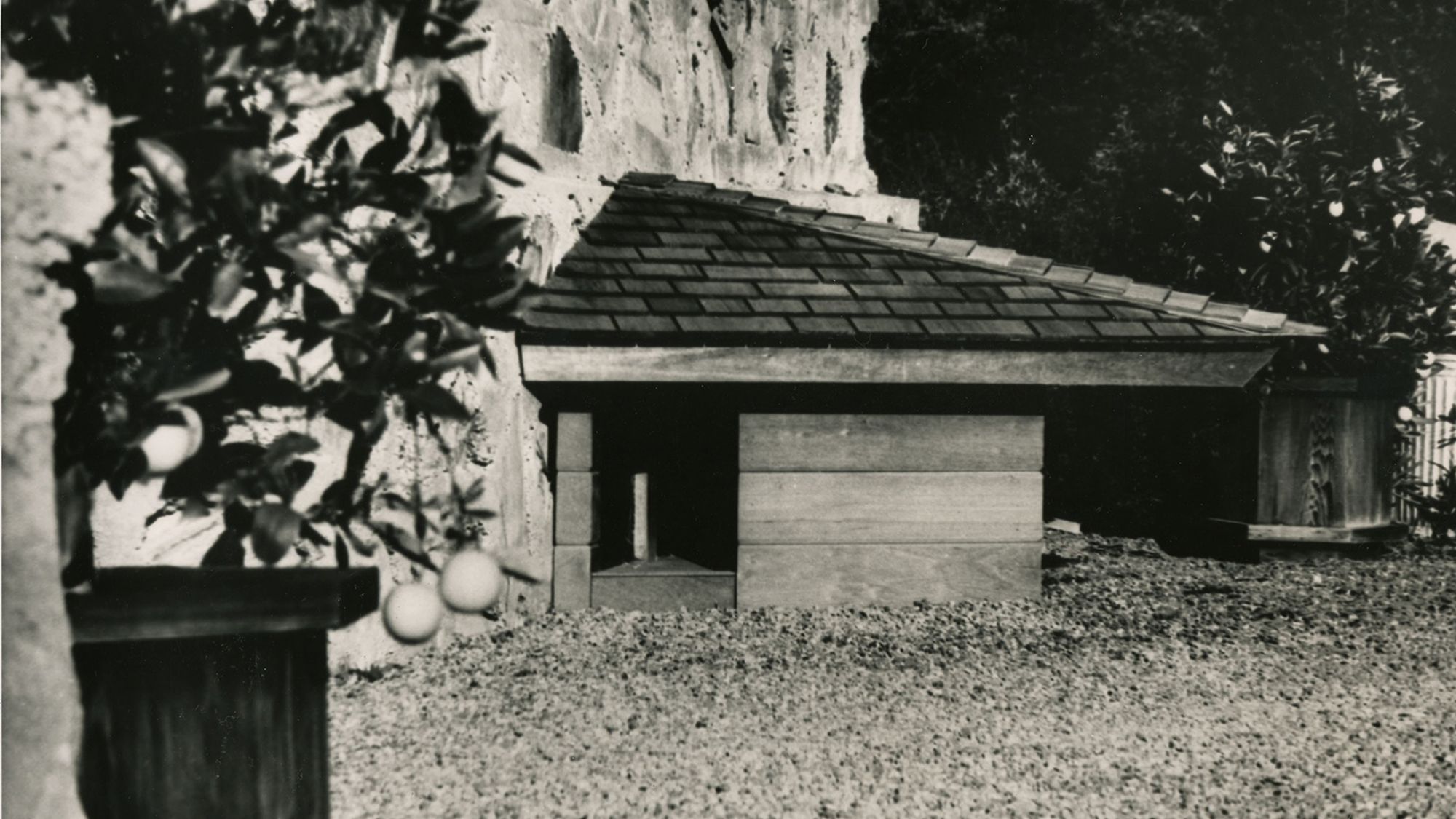 02 Frank Lloyd Wright dog house request HANDOUT