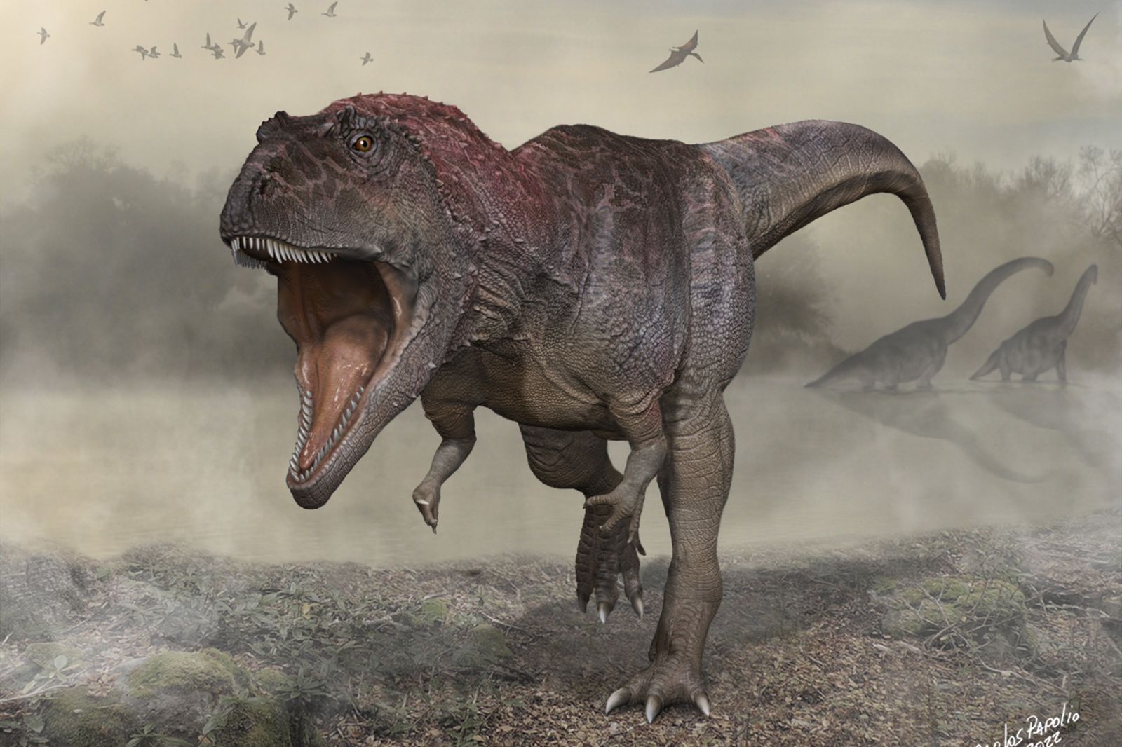 Meraxes gigas: New dinosaur species discovered that had tiny arms like T.  rex | CNN