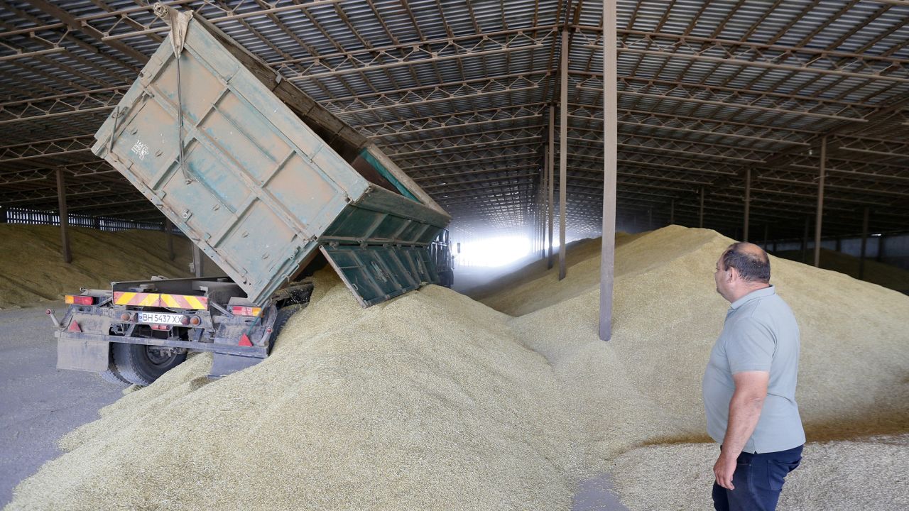 A truck driver unloads barley grains after harvest to a grain storage in Odesa region, Ukraine 22 June 2022. 