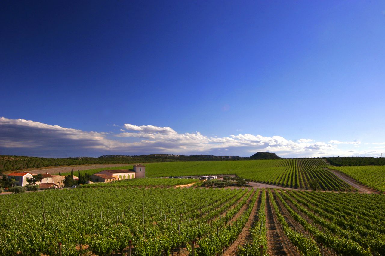 Château l'Hospitalet is a coastal winery and boutique hotel situated within the vines of the La Clape appellation.