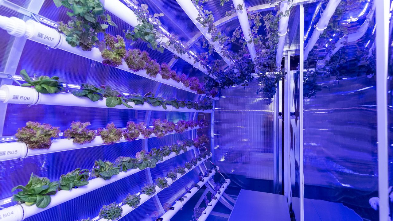 Tam designed a conceptual "space farm" for an exhibition at the Hong Kong Design Center in 2022. He says the rotating hydroponics system could be a solution in zero gravity environments.