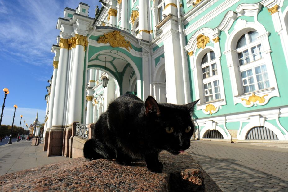 In St. Petersburg, Russia, the State Hermitage Museum is home to a battalion of "<a href="https://edition.cnn.com/travel/article/hermitage-museum-st-petersburg-cats-soviet-history-qwow-spc/index.html" target="_blank">Aristocats</a>" that keep one of the world's largest museums mouse-free.