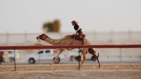 A rider from the Arabian Desert Camel Riding Center competing in a women's race.