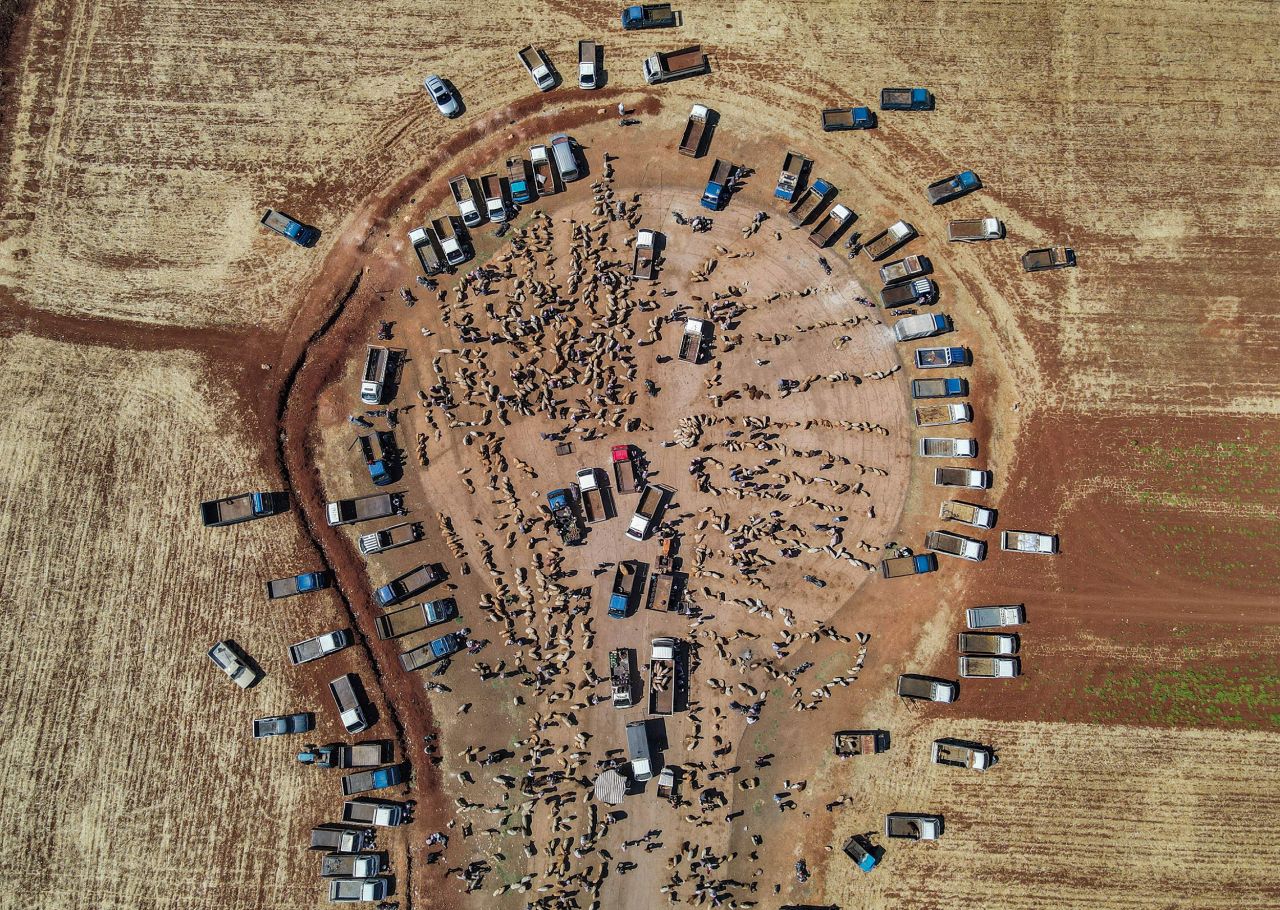 This aerial photo shows an impromptu livestock market near the Syrian city of Ma'arrat Misrin on Friday, July 1.