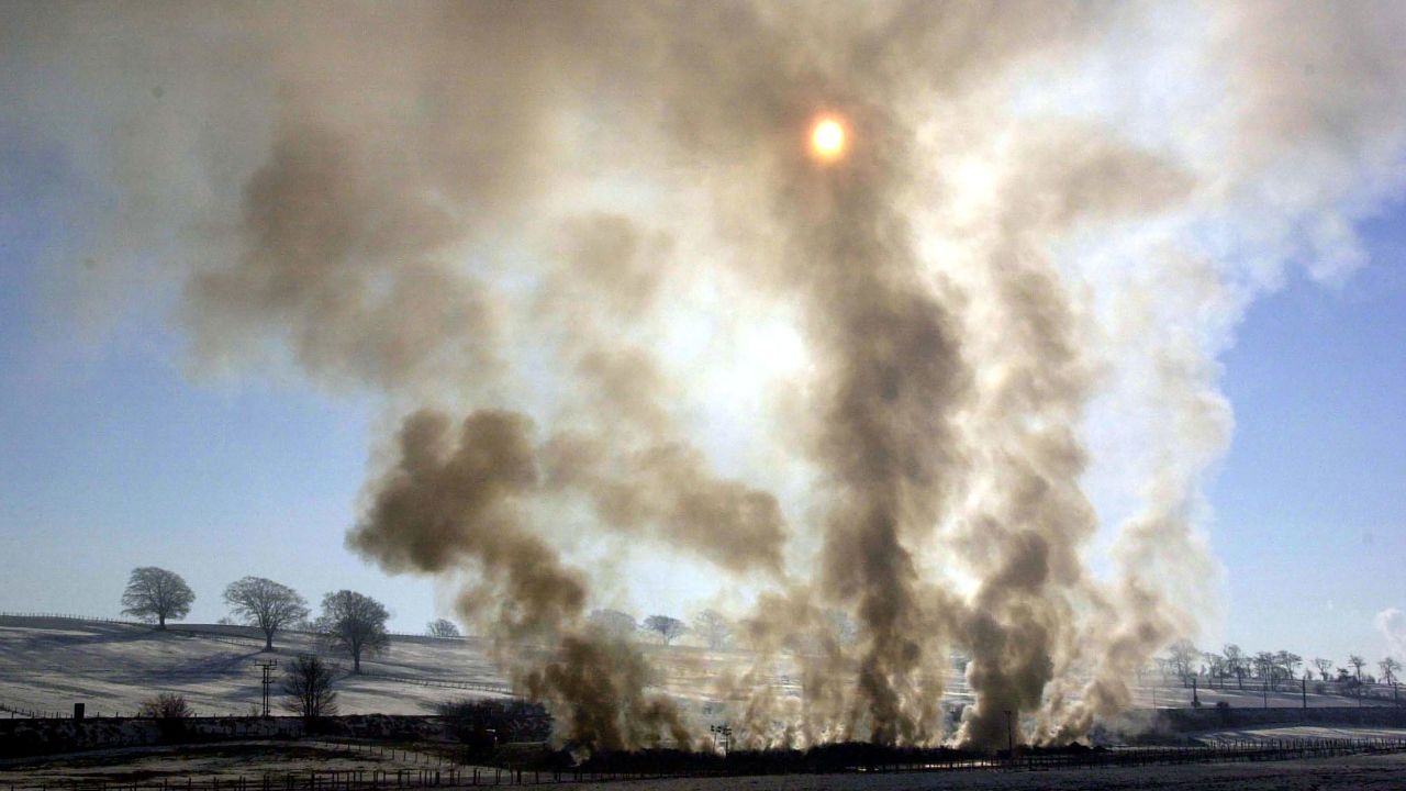 Cattle and sheep burn on a pyre at a farm in Lockerbie, Scotland, during the UK's 2001 FMD outbreak.