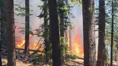 The Washburn Fire is burning near the lower portion of the Mariposa Grove. The fire is about five to eight acres. Firefighters are suppressing the fire from the ground and air. The Mariposa Grove is closed until further notice.