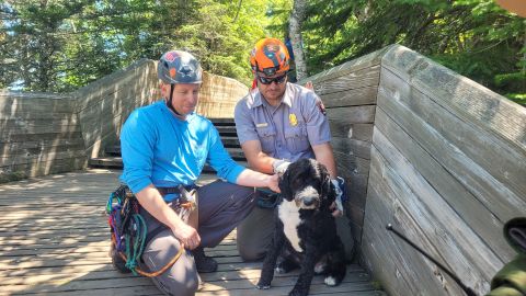 The 4-year-old cocker spaniel-poodle mix named Leo visiting the Miners Castle landmark with his Wisconsin family was found by rescuers on Friday, moving and limping around.