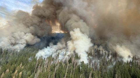 Yosemite Park fire: Fire crews rush to protect renowned sequoias as blaze grows