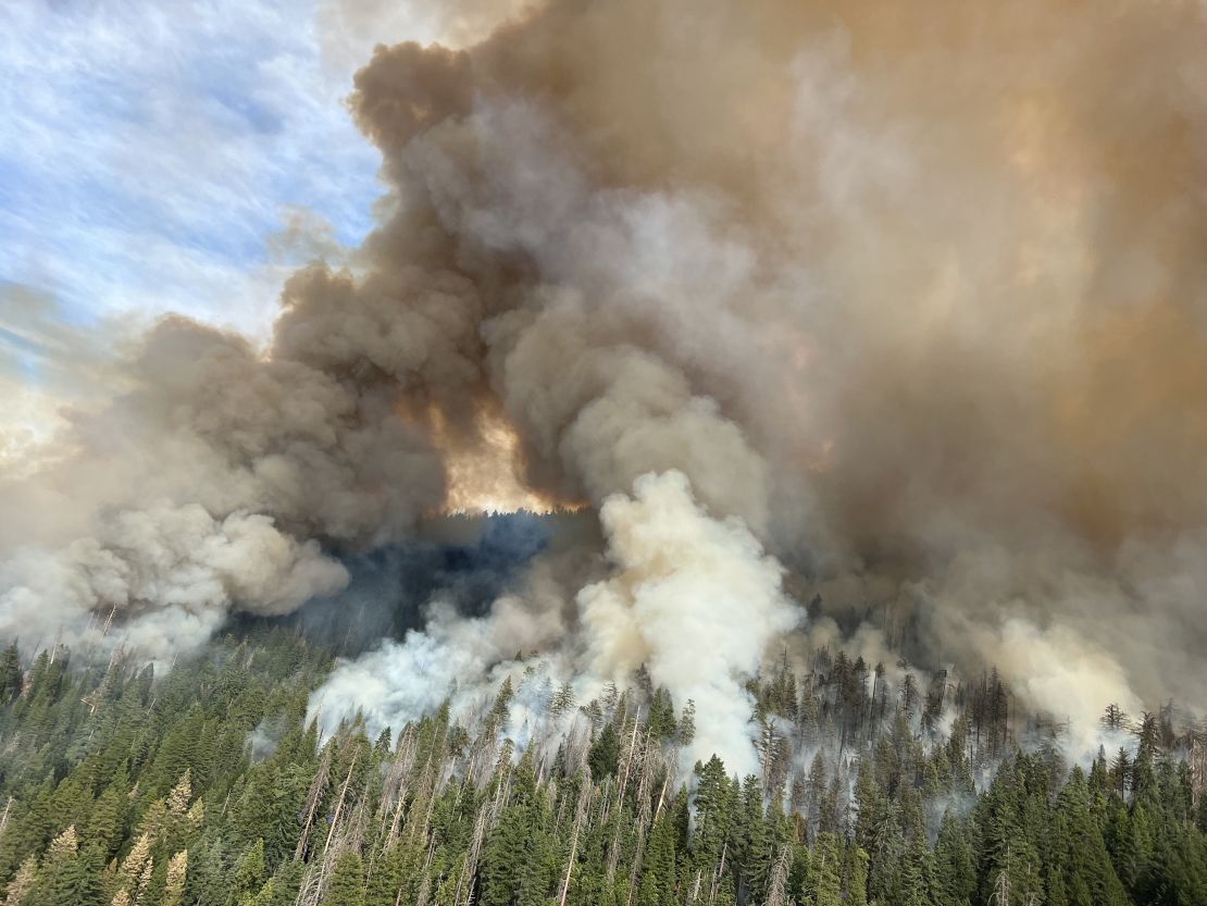 The Washburn Fire burns in Yosemite National Park on Saturday.