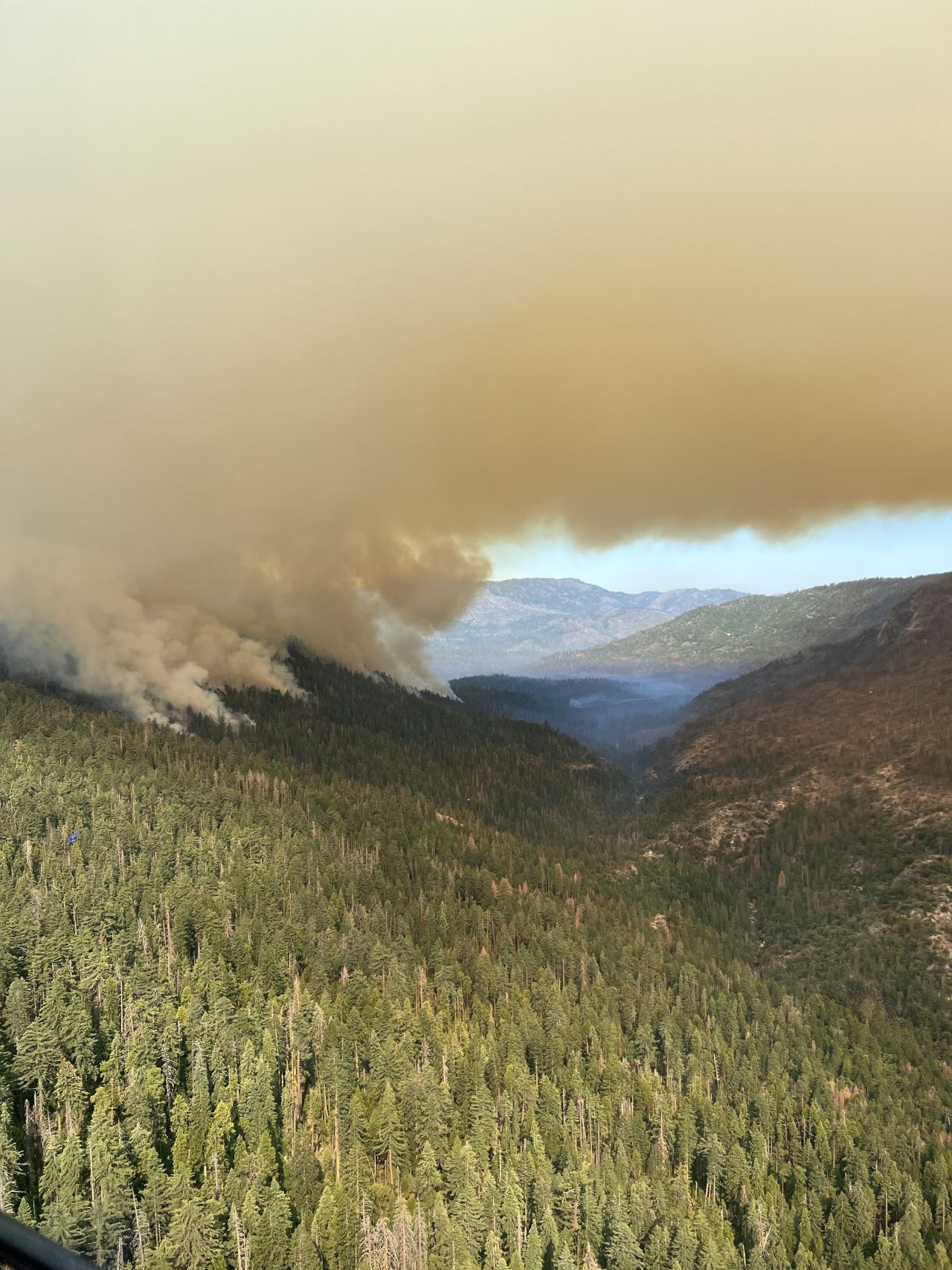Officials hope scars from previous blazes will help contain the Washburn Fire.