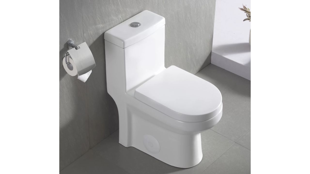 Deer Valley Dual-Flush Elongated One-Piece Toilet