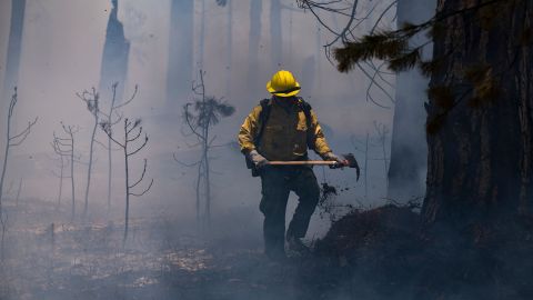 A firefighter puts out hot spots in a burned area from the Washburn Fire in Yosemite National Park, California, on July 11, 2022.