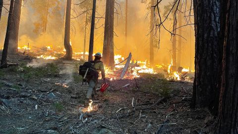 Firefighters conduct backfiring operations near the South Entrance on July 11 in Yosemite National Park, California.
