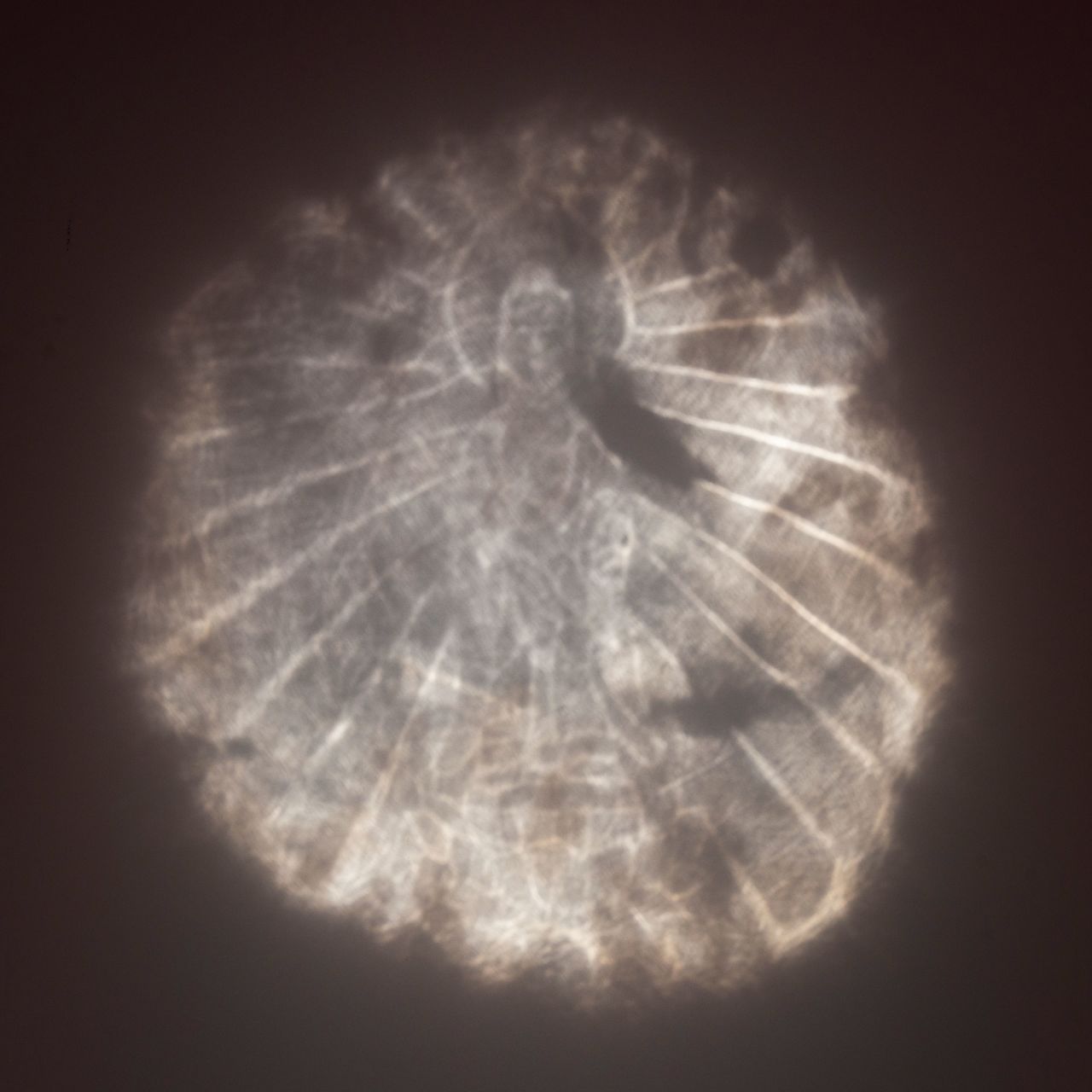 A close-up of the reflected image, which depicts rays of light emanating from the figure of a Buddha.