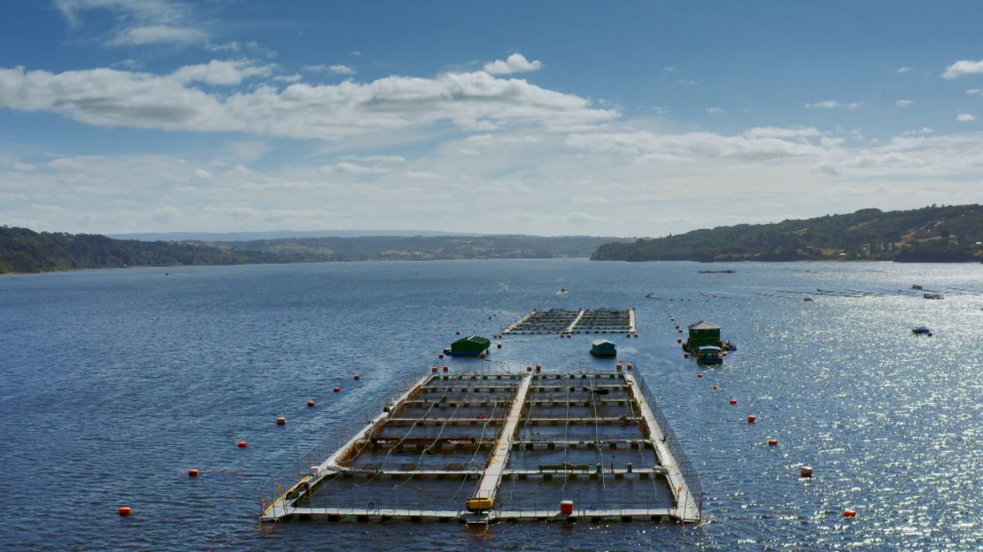 A salmon farm in the waters off the coast of Chilean Patagonia is shown. 