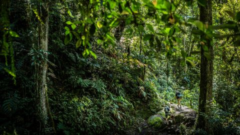 The Kokoda Track takes up to two weeks to complete. 