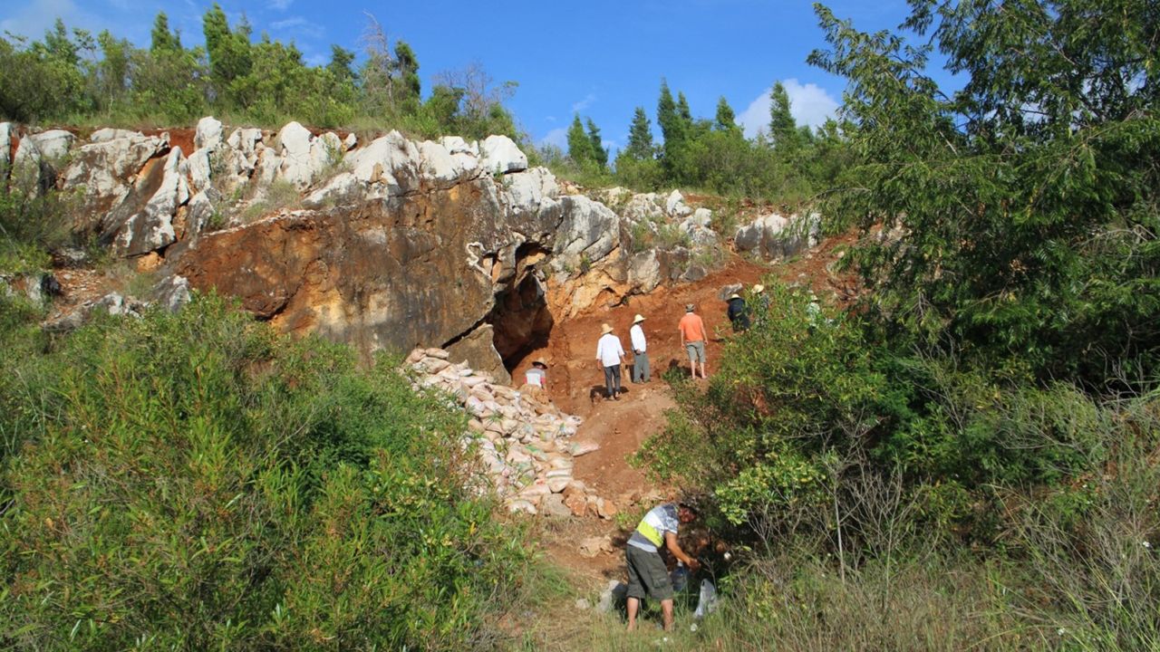The skull and thigh bone were found in Red Deer Cave in Yunnan, China. 
