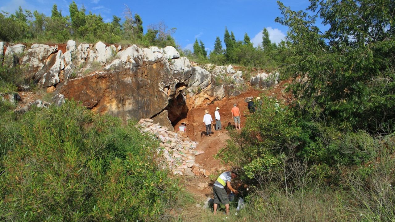 The fossils were found in Red Deer Cave in southwest China.