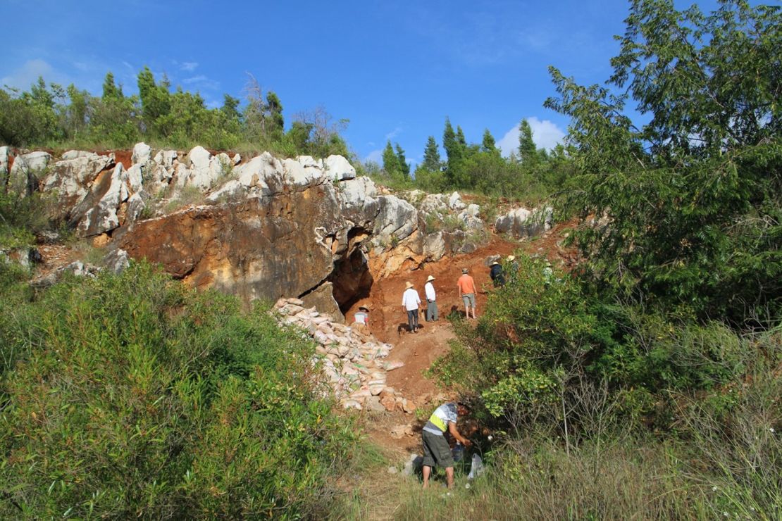 The fossils were found in Red Deer Cave in southwest China. 