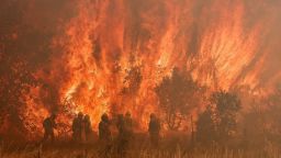 Firefighters operate at the site of a wildfire in Pumarejo de Tera near Zamora, northern Spain, on June 18, 2022.