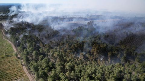 A wildfire burns through vegetation in Landiras, southwestern France, on July 13.