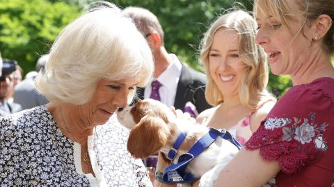 Camilla meets Mala Breeze and her dog Flora during a reception for the 160th Anniversary of the Battersea Dogs and Cats Home at Clarence House in London on July 14, 2022. 