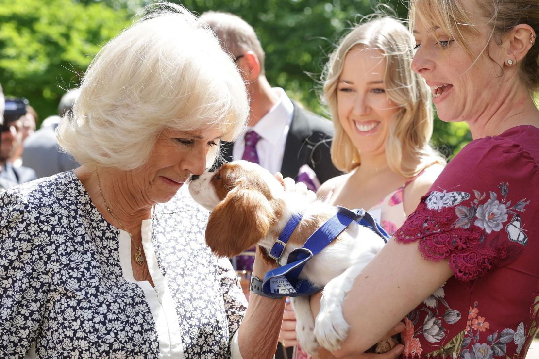 Camilla meets Mala Breeze and her dog Flora during a reception for the 160th Anniversary of the Battersea Dogs and Cats Home at Clarence House in London on July 14, 2022. 