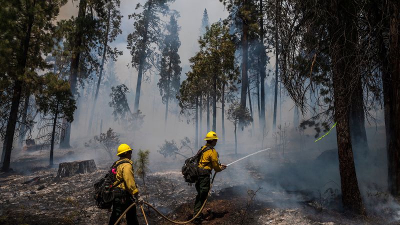 Democrats fumble climate bill again as US suffers consequences of ...