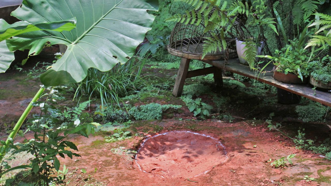 The footprints of two sauropods, discovered in Leshan, Sichuan, China.