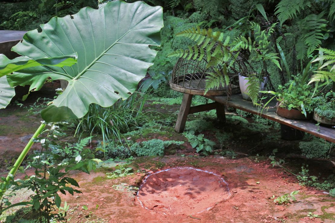 The footprints of two sauropods, discovered in Leshan, Sichuan, China. 