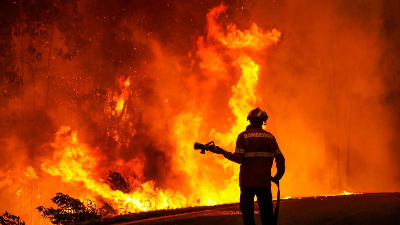 The heat wave in Portugal has intensified a pre-existing drought and sparked wildfires in central parts of the country, including in the village of Memoria, in the Leiria municipality. 