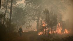A firefighter walks among flames at a forest fire near Louchats, some 35kms from Landiras in Gironde, southwestern France on July 18, 2022. - The intense mobilisation of firefighters did not weaken to fix the fires in the south of France, and particularly in Gironde where flames ravaged more than 15.000 hectares of forests since it is started on July 12, in a context of generalised heat wave in France. (Photo by Philippe LOPEZ / POOL / AFP) (Photo by PHILIPPE LOPEZ/POOL/AFP via Getty Images)