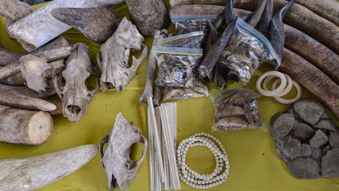 7 月 18 日，在马来西亚巴生港举行的新闻发布会上展示的动物头骨和骨头，包括穿山甲鳞片和虎爪。
