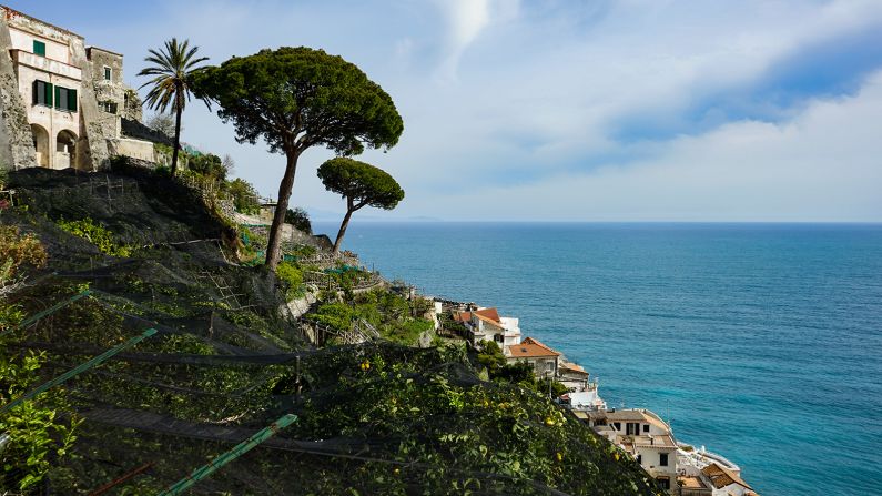 <strong>Citrus solutions: </strong>Shaping the wild cliffs overlooking the sea, the lemon groves curb some of the area's worst problems, including landslides caused by rain and wildfires.