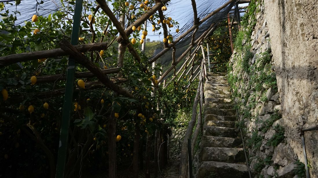 <strong>Tricky access: </strong>Vertically arranged in layers, the lemon groves are separated by three- to seven-meter walls made of Macere -- a local limestone resistant to soil pressure and impervious to rain. Even today, the grove can only be reached on foot or by mules.