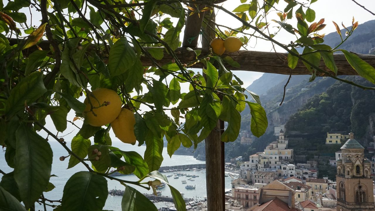 Lemon groves fill the steep slopes.
