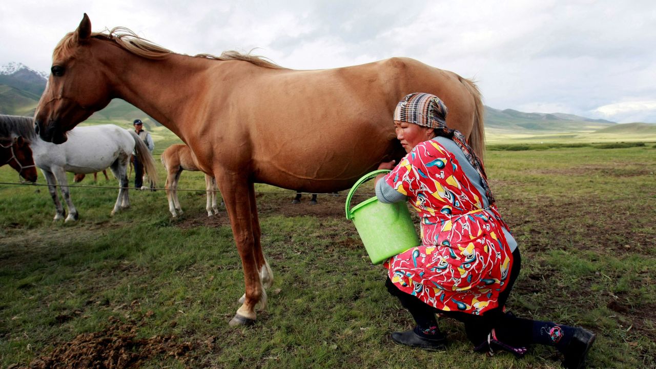 FILE PHOTO: A farmer milks a horse at a high altitude summer pasture called Suusamyr, some 170 km (106 miles) south of the Kyrgyz capital Bishkek, June 17, 2011. REUTERS/Vladimir Pirogov/File Photo