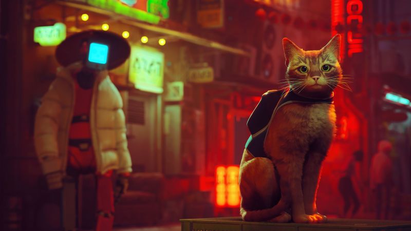 We played ‘Stray’ everyone’s favorite new cat-centric video game. It’s purrfection – CNN