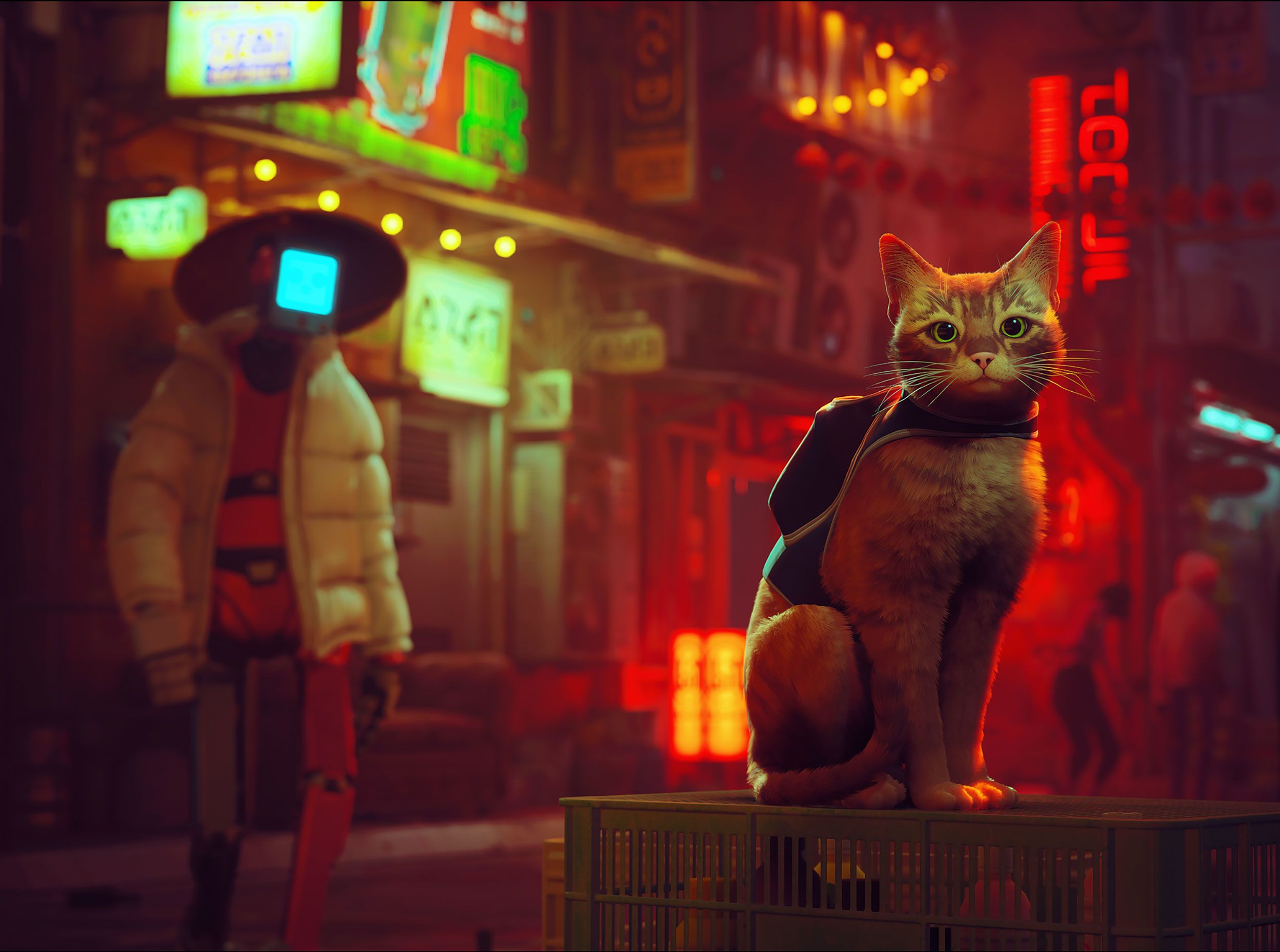 Cat People Are Loving a New Videogame. So Are Their Cats. - WSJ