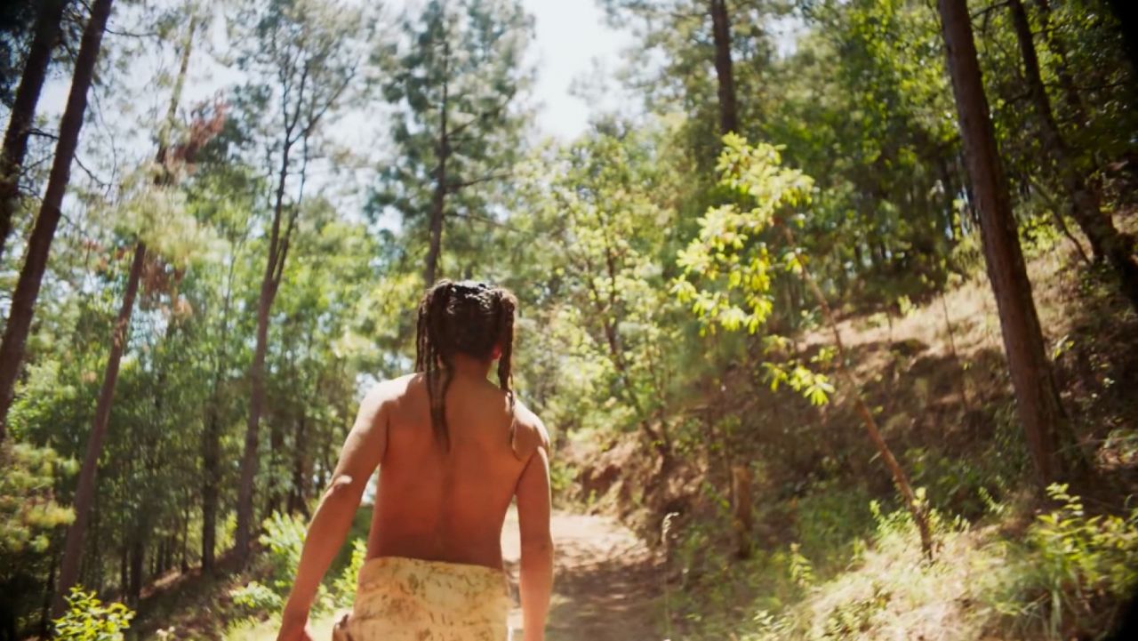 bomba estereo still
