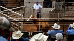 Buyers and sellers watch as cattle go through the sale barn arena at Abilene Livestock Auction Tuesday, July 12, 2022, in Abilene, Texas. Drought has been forcing many regional ranchers to begin selling off their herds as pastures dry or burn up in the summer weather and hay prices continue to rise. (Ronald W. Erdrich/The Abilene Reporter-News via AP)