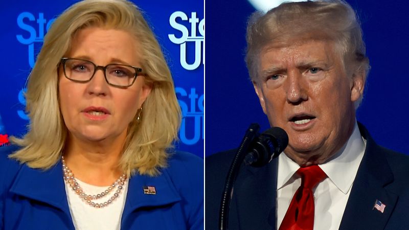 Liz Cheney Responds To Trump’s Efforts To Defeat Her | CNN Politics